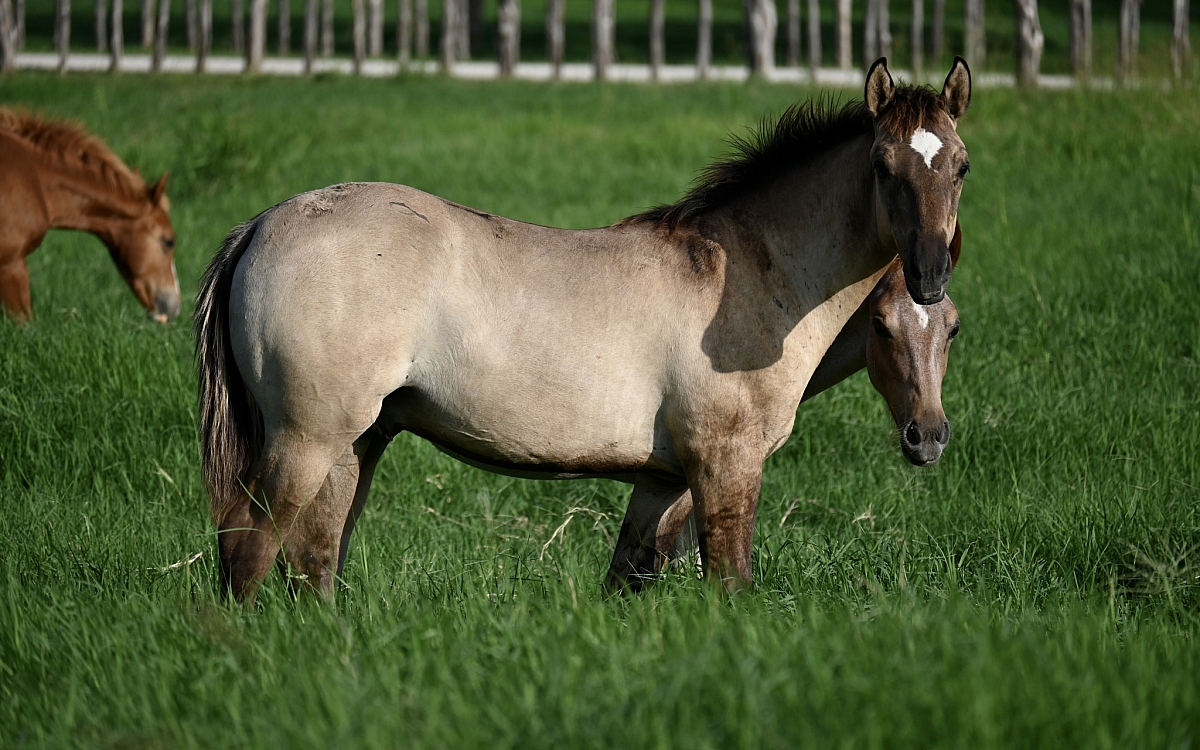 DSC 1689