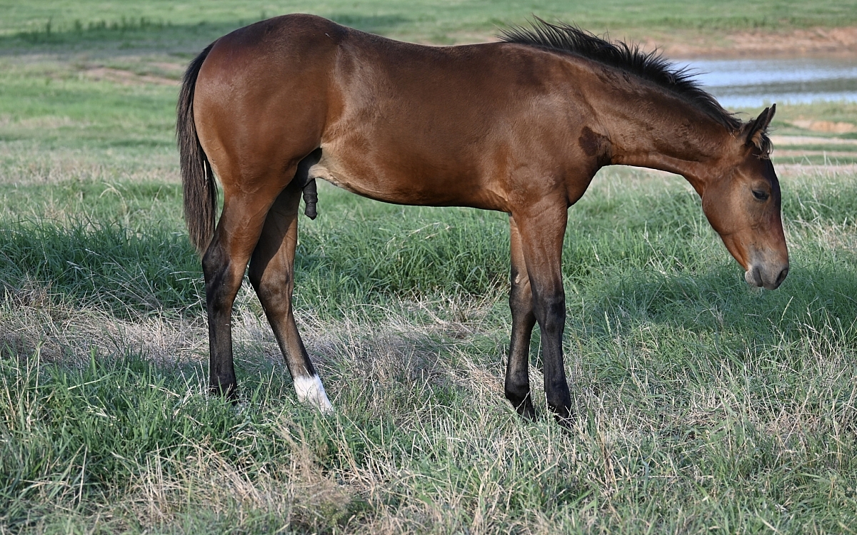 DSC 1795