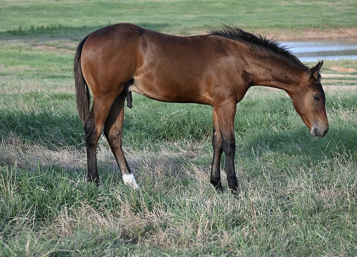 DSC 1795