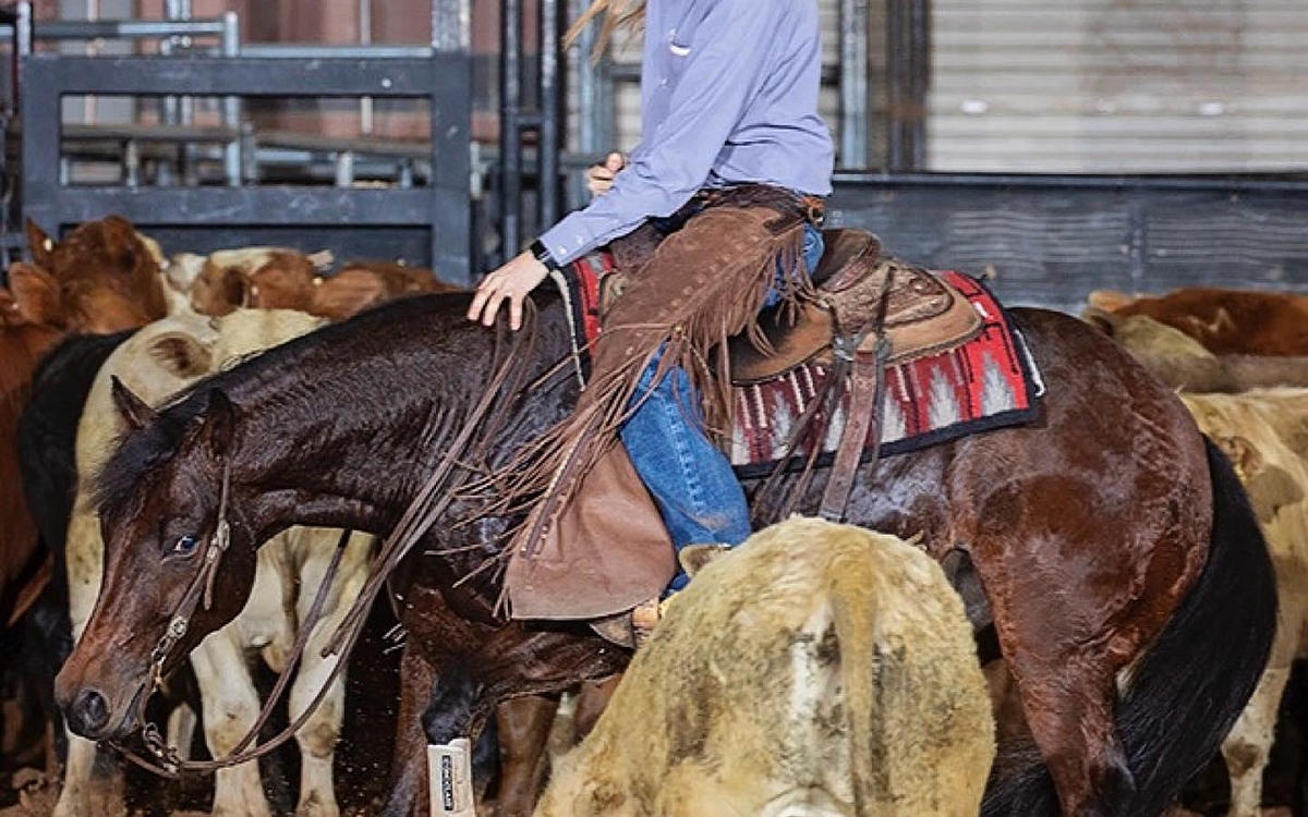 430127733 911748464287373 3026936061919532248 n