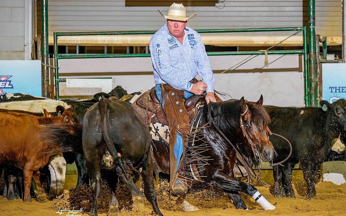 NRR Cat King Cole Offspring Honor Thy King