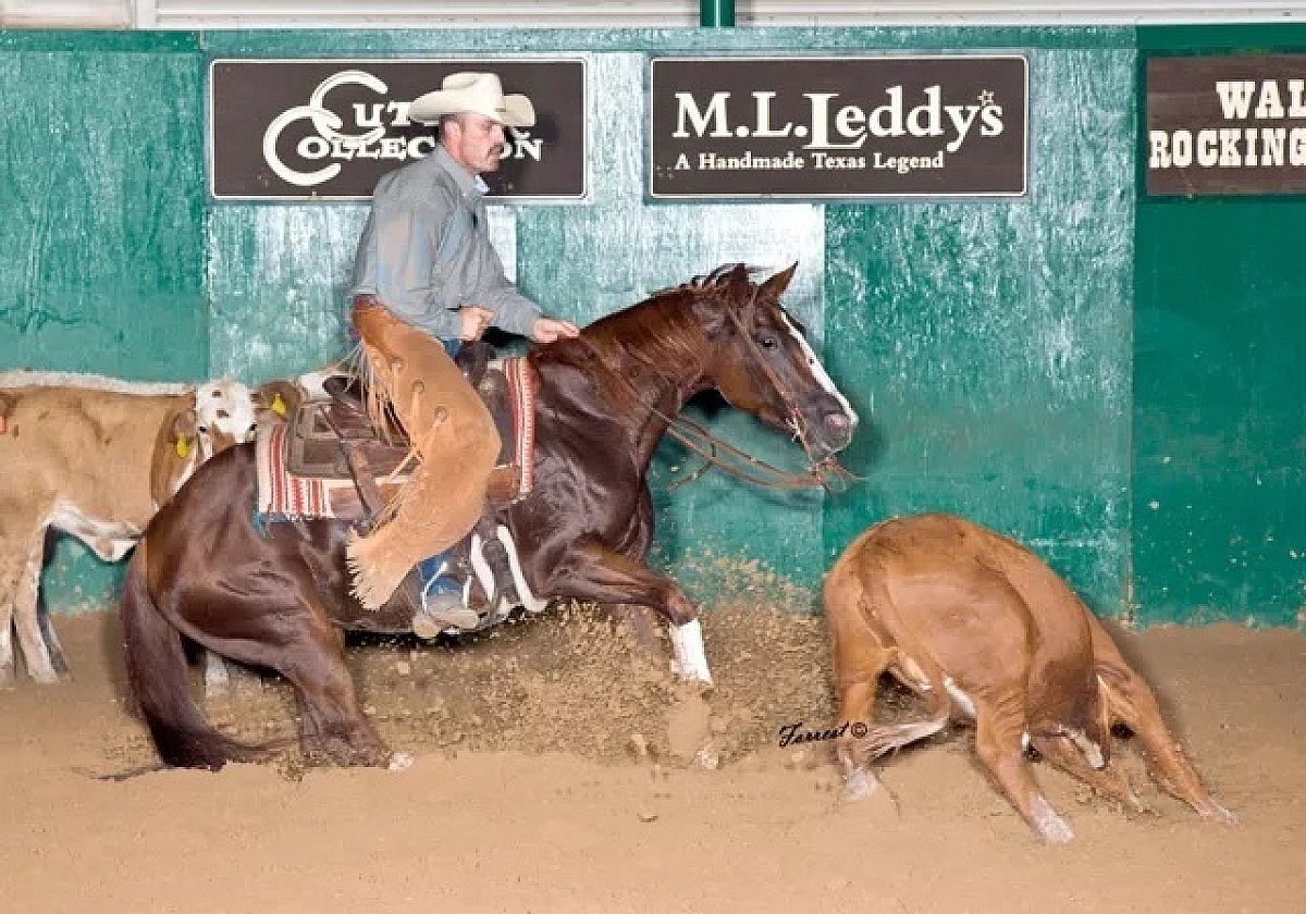 Smartlittlelenastoy 3