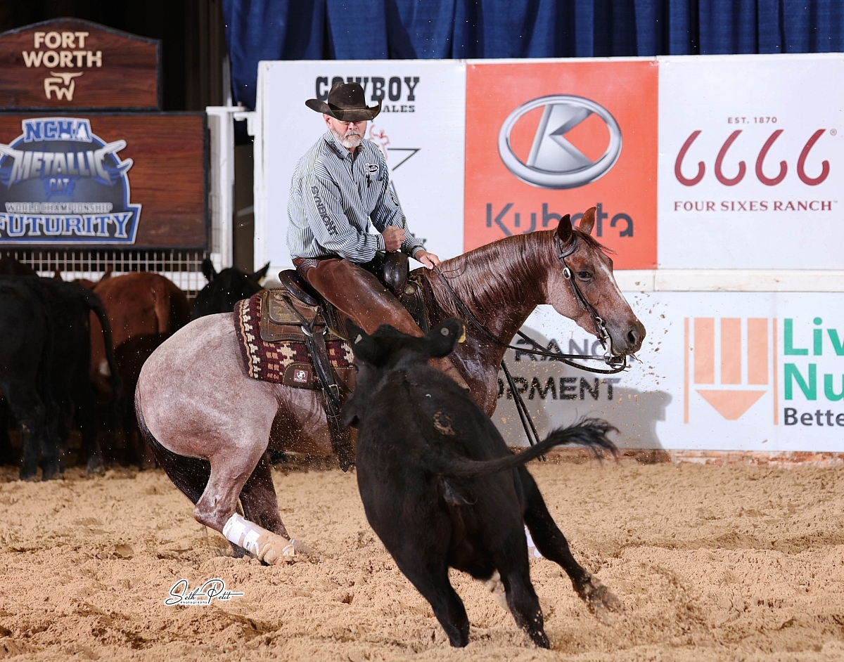 Beechfork Ranch Rebellin