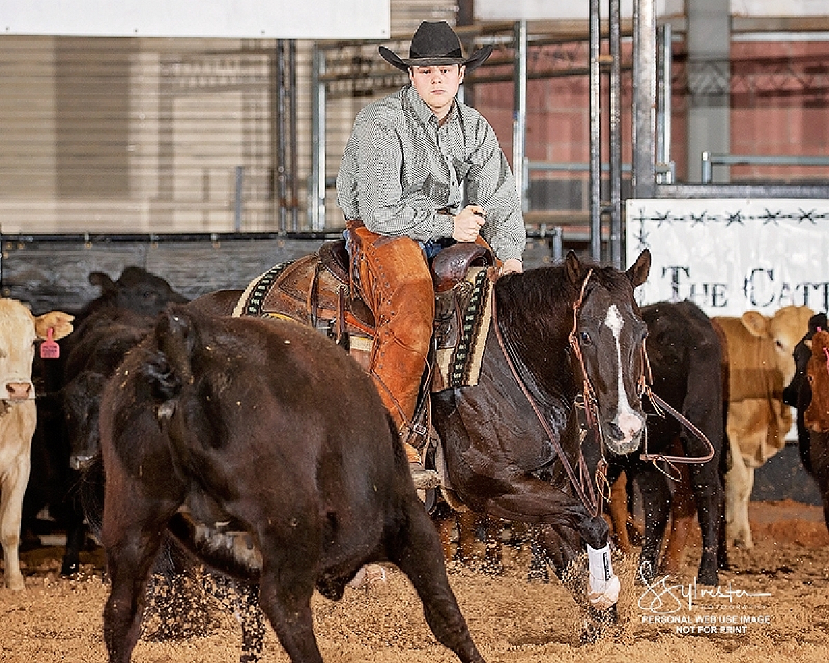 Verscae On Da Floor DW6 T6935 Personal Web Use